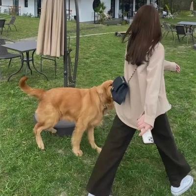 感应
